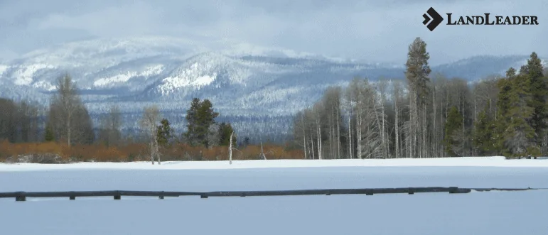 Winter Doesn't Mean Fewer Buyers