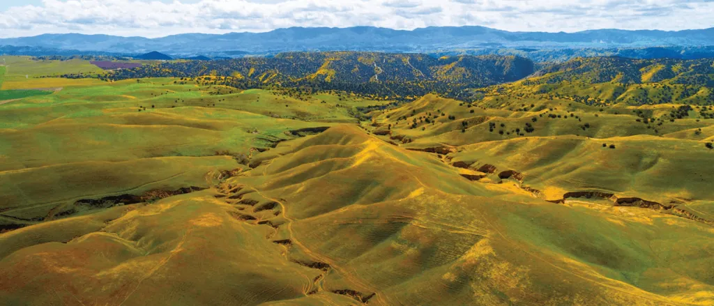 Legal considerations