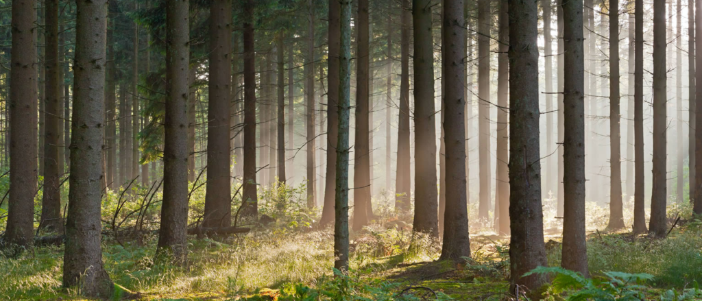 Partner with landleader