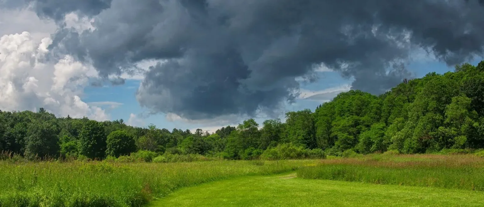 What-to-Consider-When-You-Buy-Land-in-Missouri-