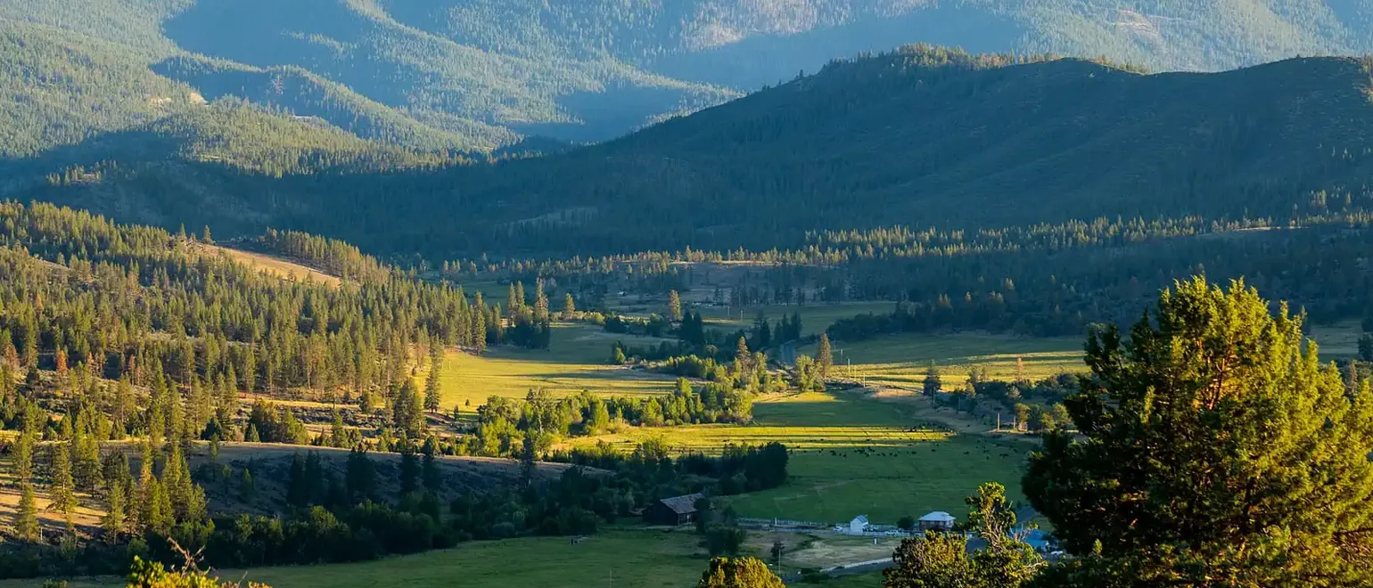 4.-Gazelle-California-