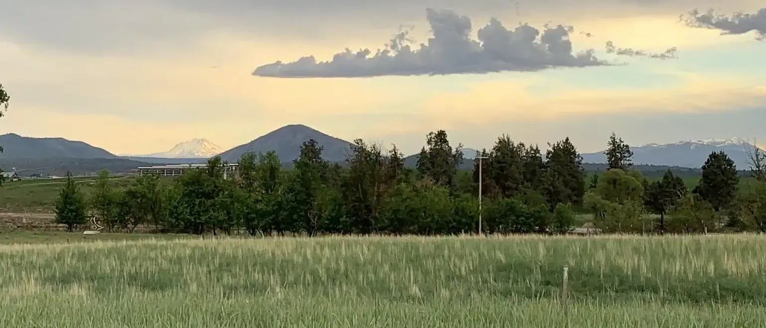 6.-McArthur-California-