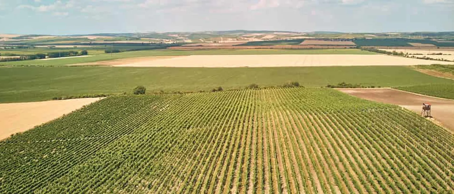 Challenges-of-Raw-Land-Investing-