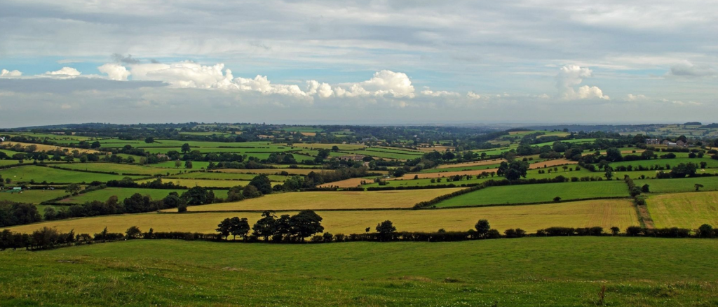 Diversifying your portfolio