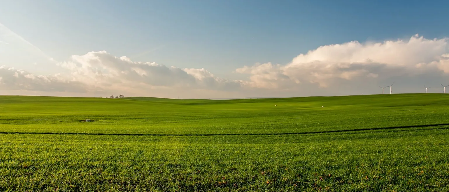 Factors-to-Consider-Before-Buying-Raw-Land-