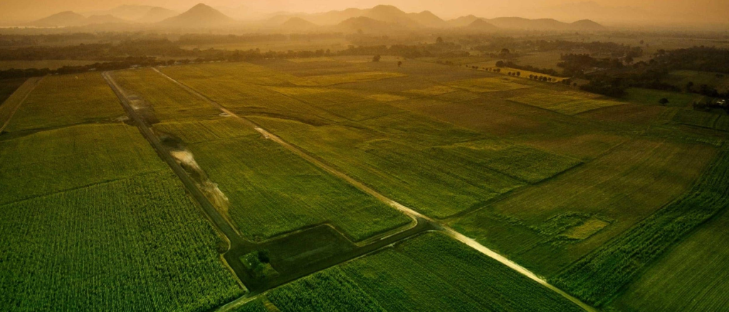 landleader the marketing