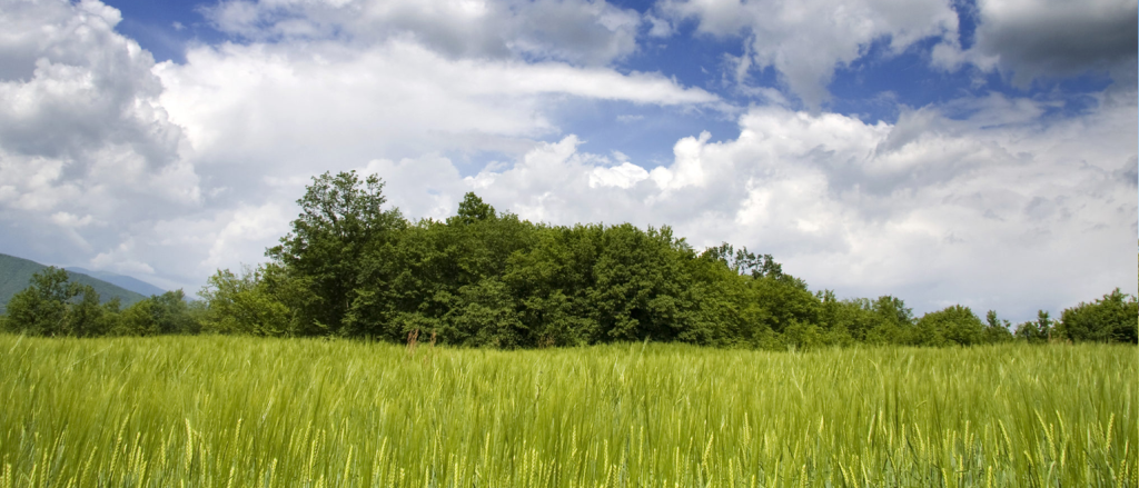 landleader your gateway to vacant land