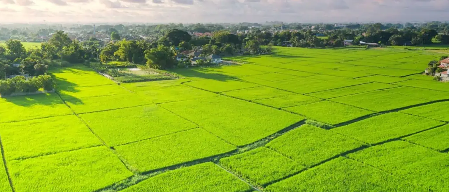 Raw-Land-Investing-Benefits-Challenges-and-Key-Considerations-1