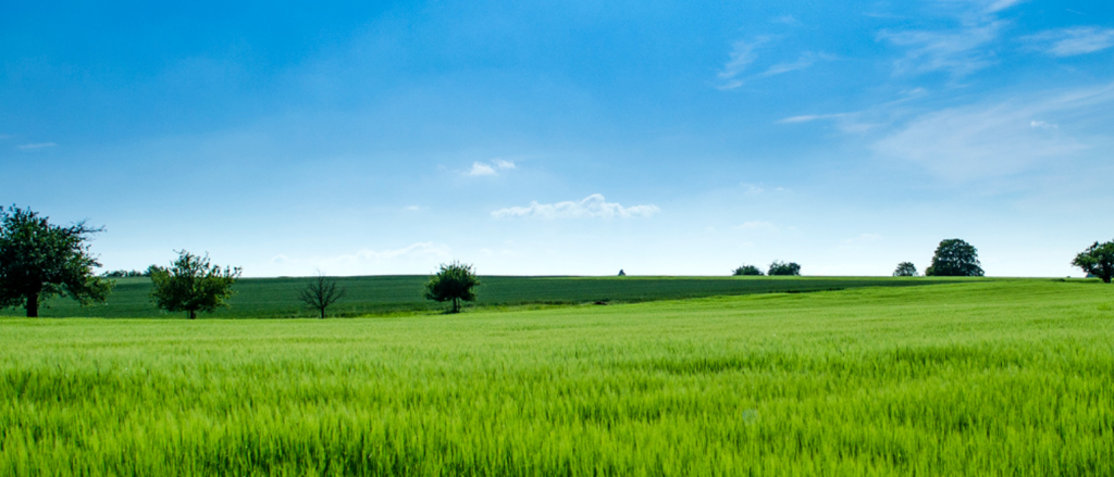 Urban farming and community