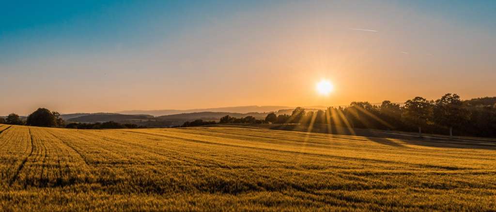 Cheapest places to buy land