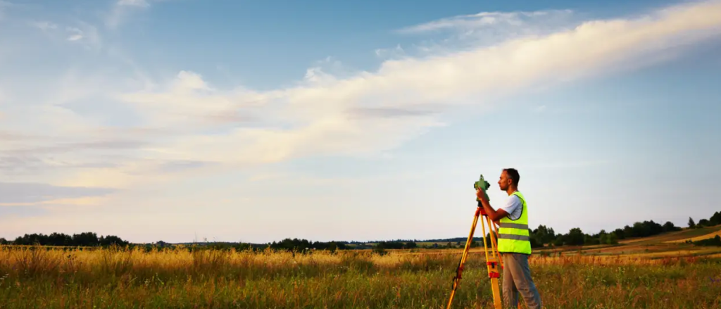 Why are property surveys