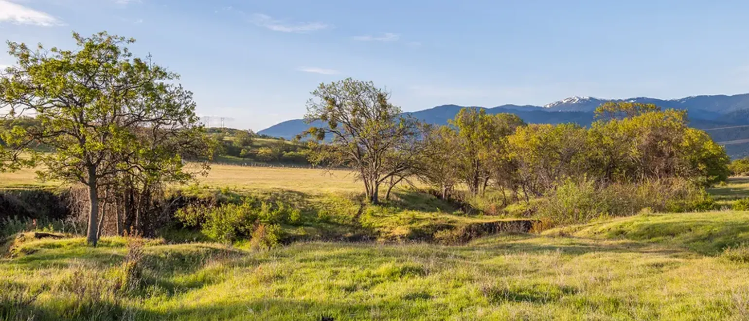 Why-Invest-in-the-Cheapest-Land-for-Sale-in-Nevada_-