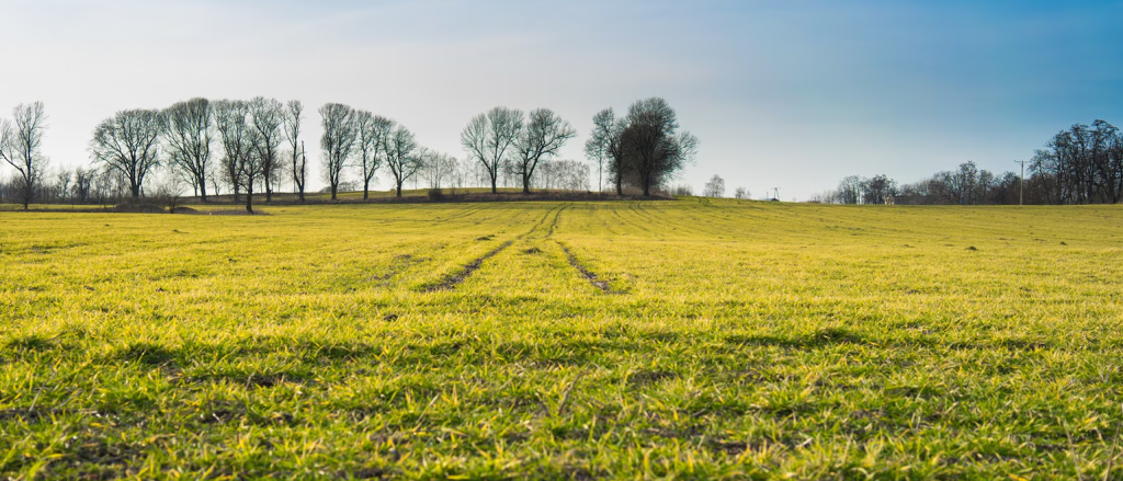 finding a real estate agent