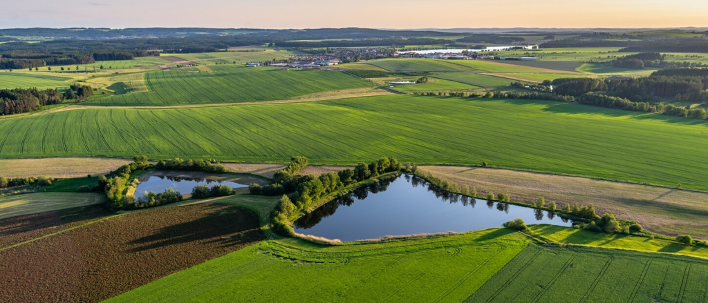 Developing expertise in land realestate