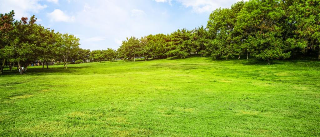 finding a real estate agent top tips