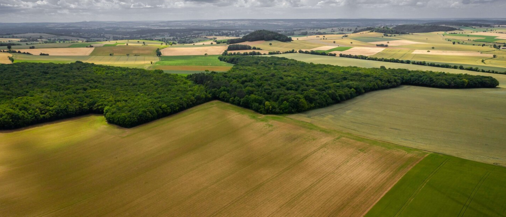 land real estate agent
