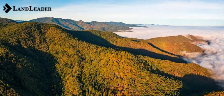 land for sale in baldwin