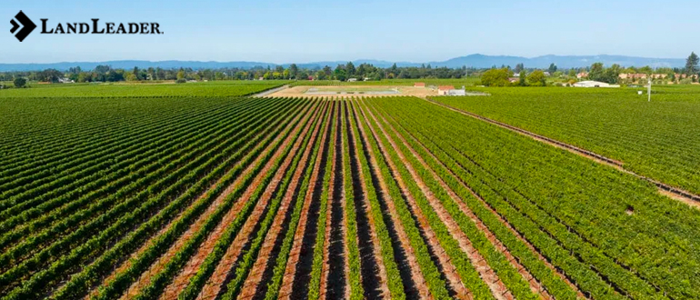 Landleader your gateway