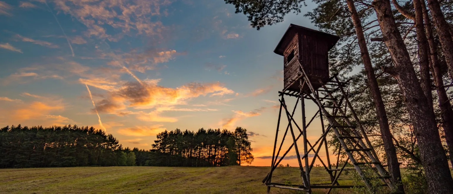 Buying-Land-With-Friends-Financial-and-Recreational-Benefits_