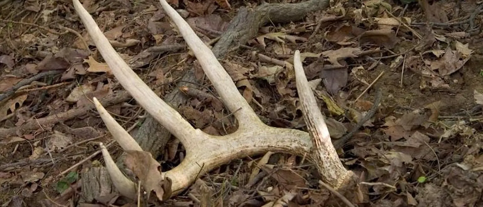 Key-Points-to-Discuss-Before-Buying-