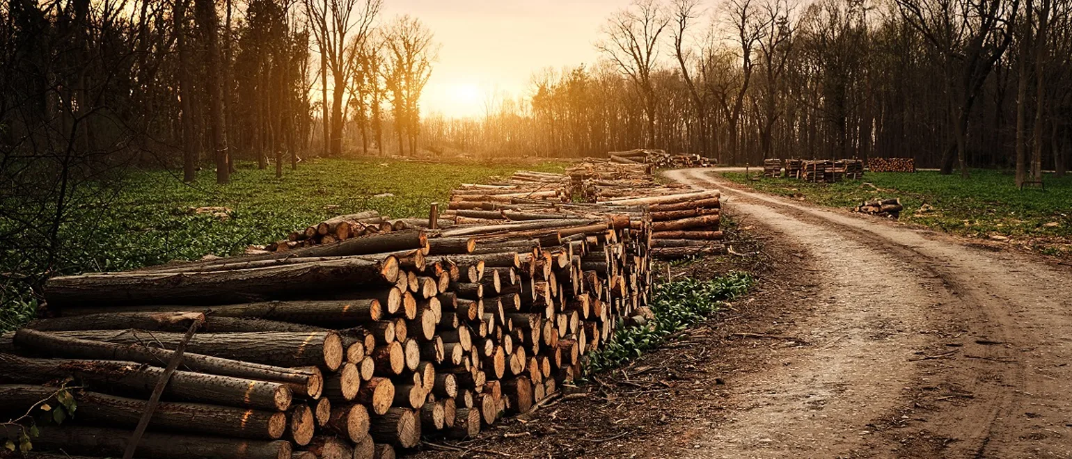 LandLeader-The-Land-Marketing-Platform-for-Group-Buyers-