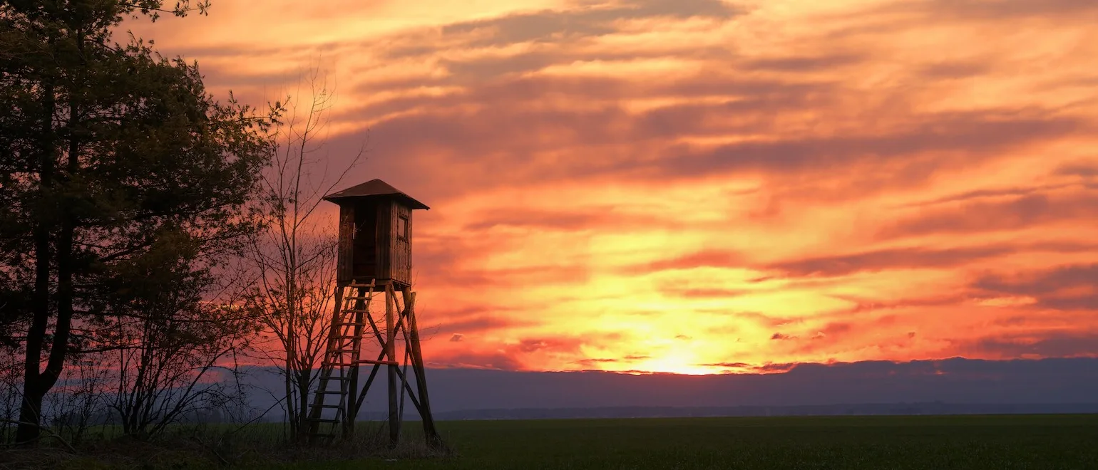 Where-to-Buy-Hunting-Land-Quick-Tips-for-First-Time-Buyers-